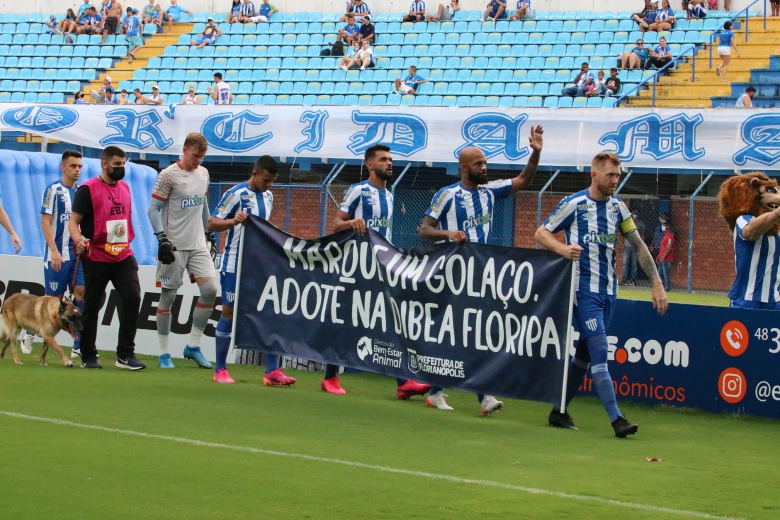 “Adote na Dibea Floripa”: Para estimular adoção de animais jogadores do Avai entram em campo com cachorros