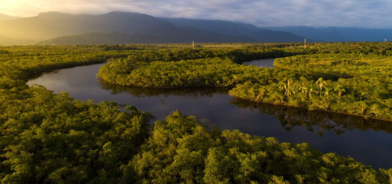 Governo Federal promove encontro para debater sobre conectividade e proteção da Amazônia