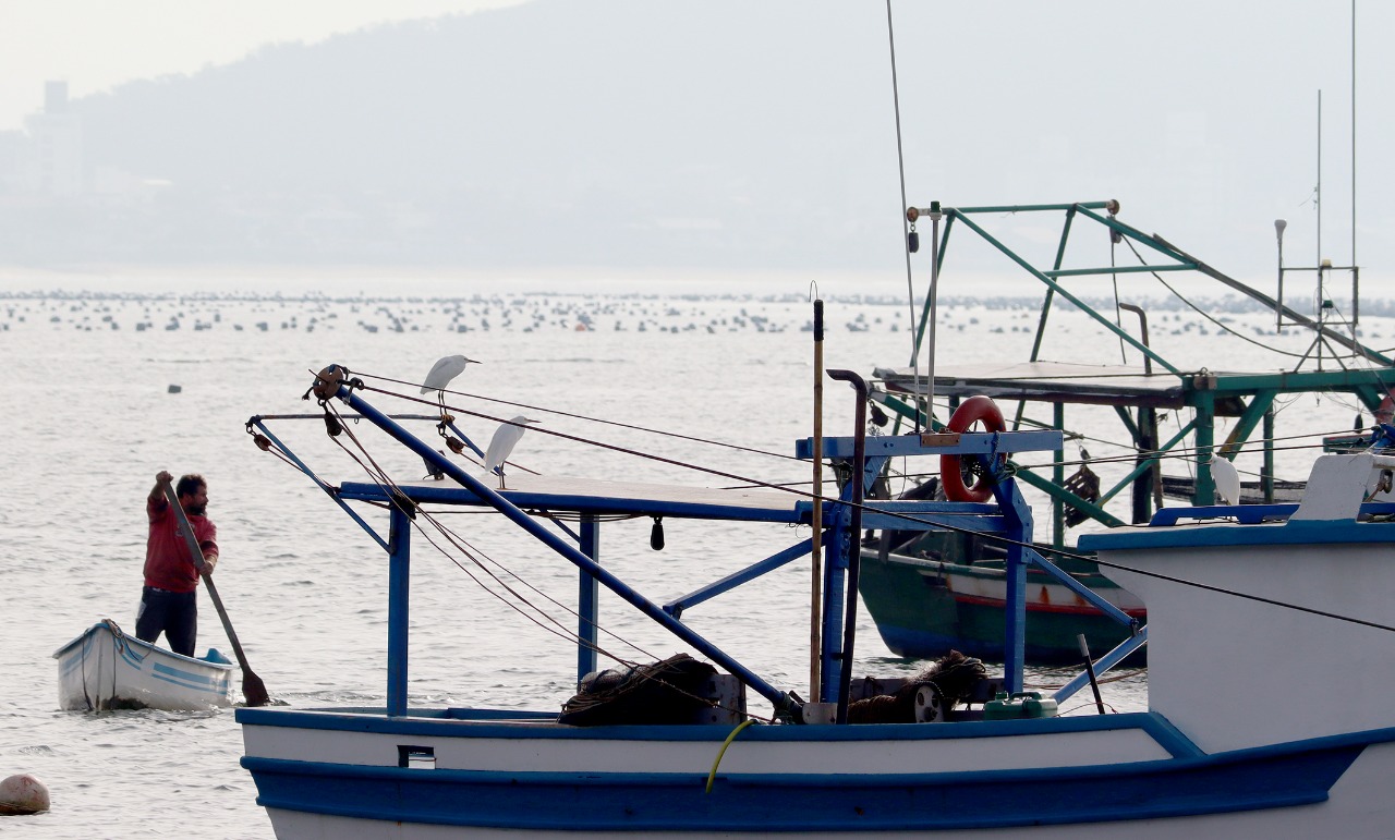 “Programa SC Mais Pesca”: Penha assina ordem de serviço para obras de fomento à pesca artesanal e maricultura
