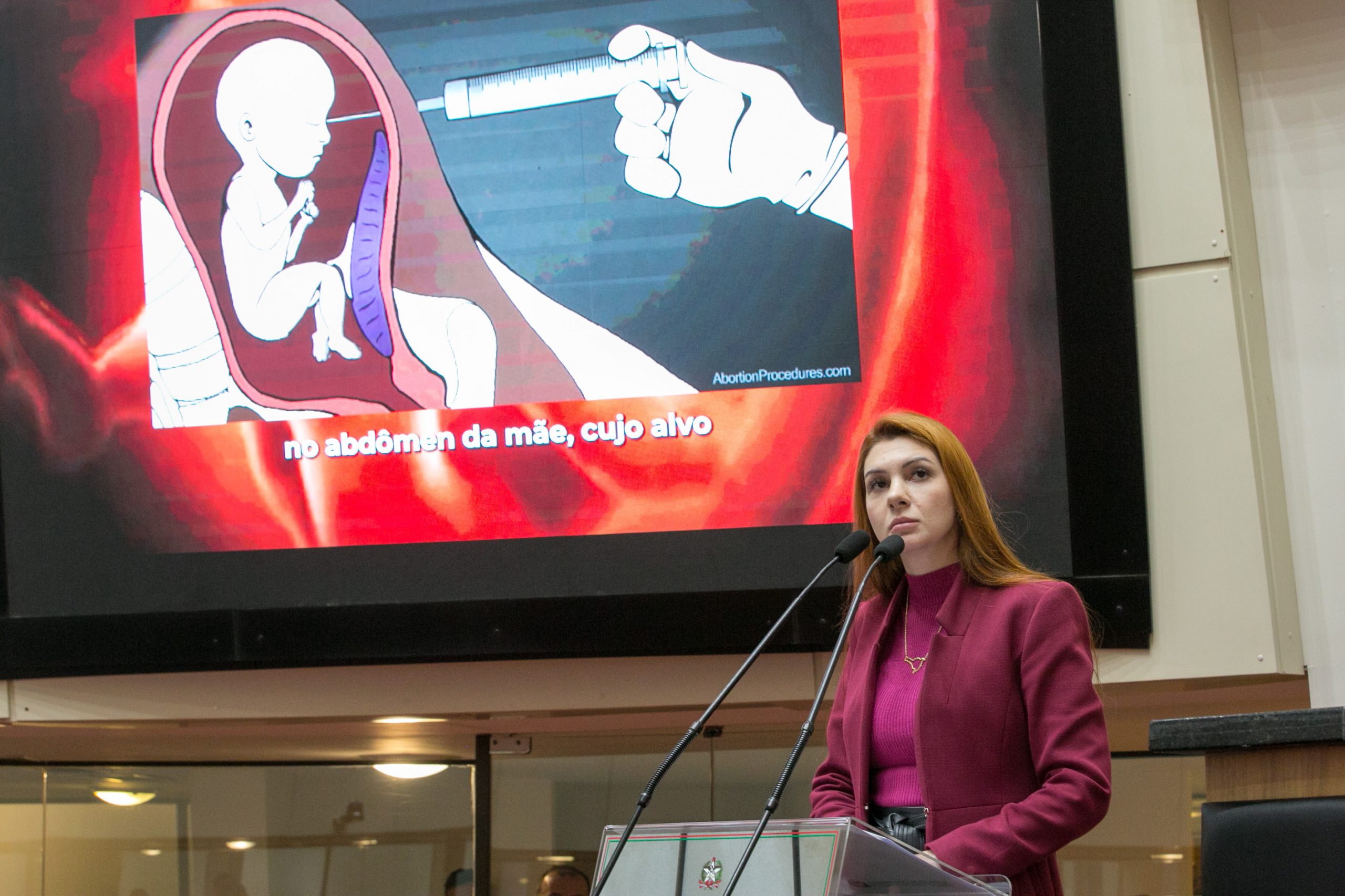 Aborto um Dilema Ético?: CPI do aborto tem 14 assinaturas, anunciam deputados