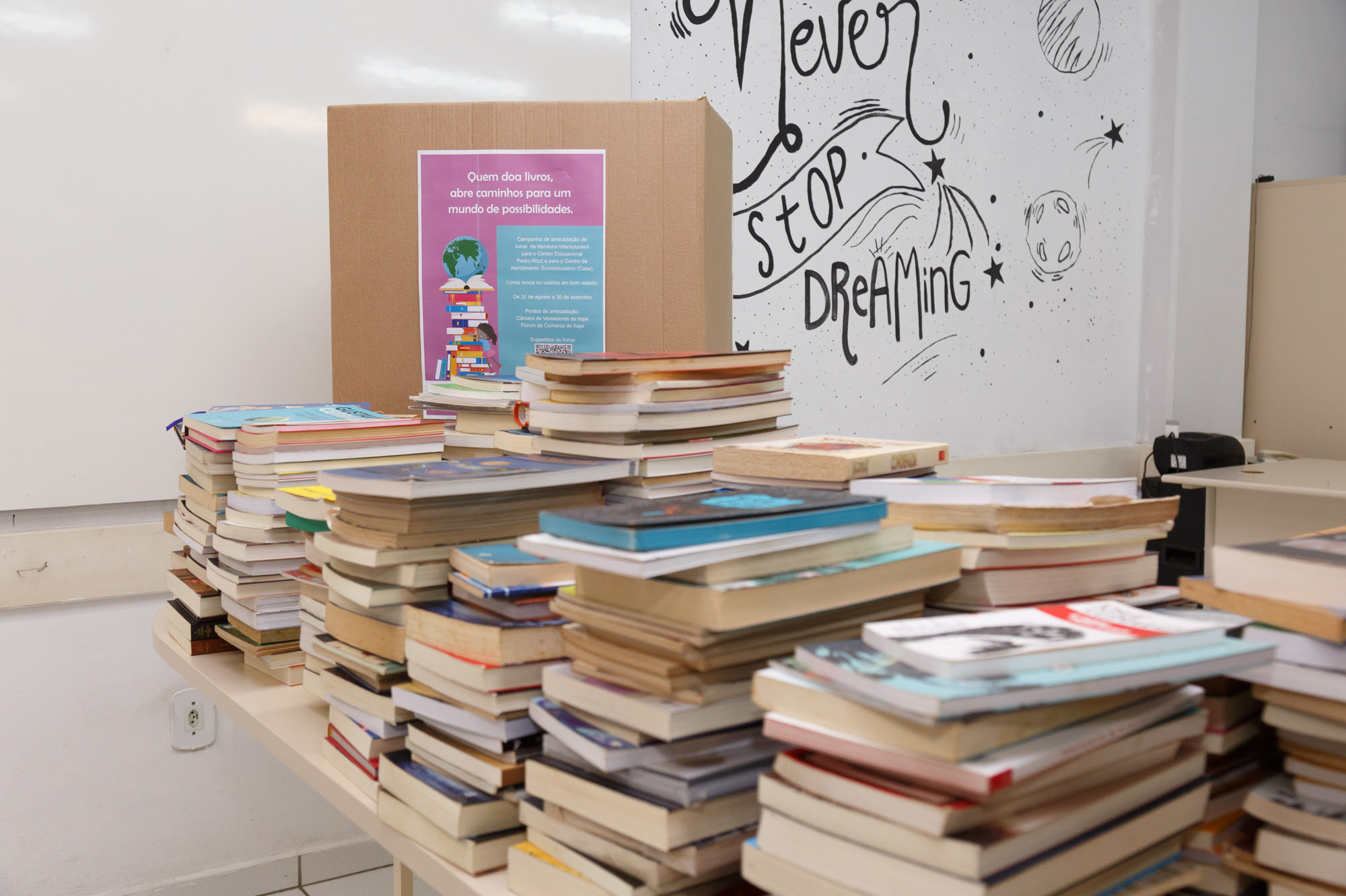 Campanha arrecada 370 livros para o Centro Educacional Pedro Rizzi