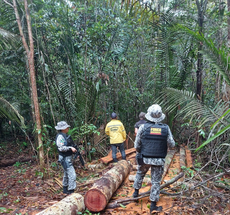 Na COP 27, Brasil apresenta ao mundo seus programas voltados à proteção da Amazônia e outros biomas nacionais