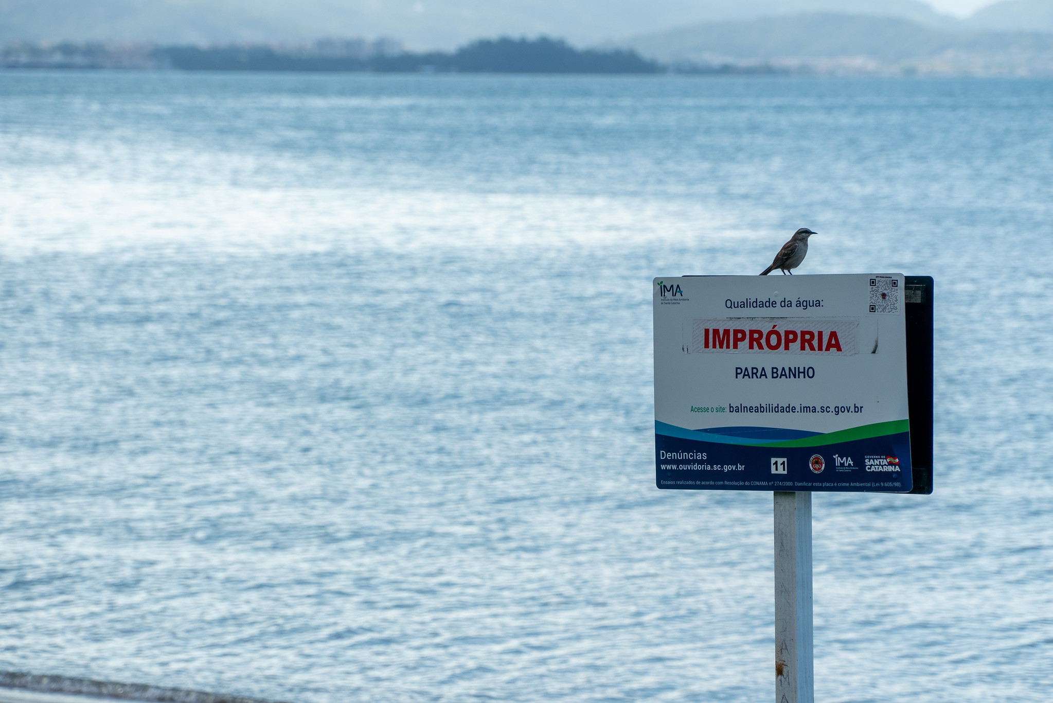 Balneabilidade em Santa Catarina: Novo relatório traz 123 pontos próprios para banho no Litoral catarinense