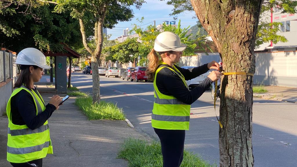 Meio Ambiente: Diagnóstico da arborização urbana de Balneário Camboriú já identificou 7.089 árvores