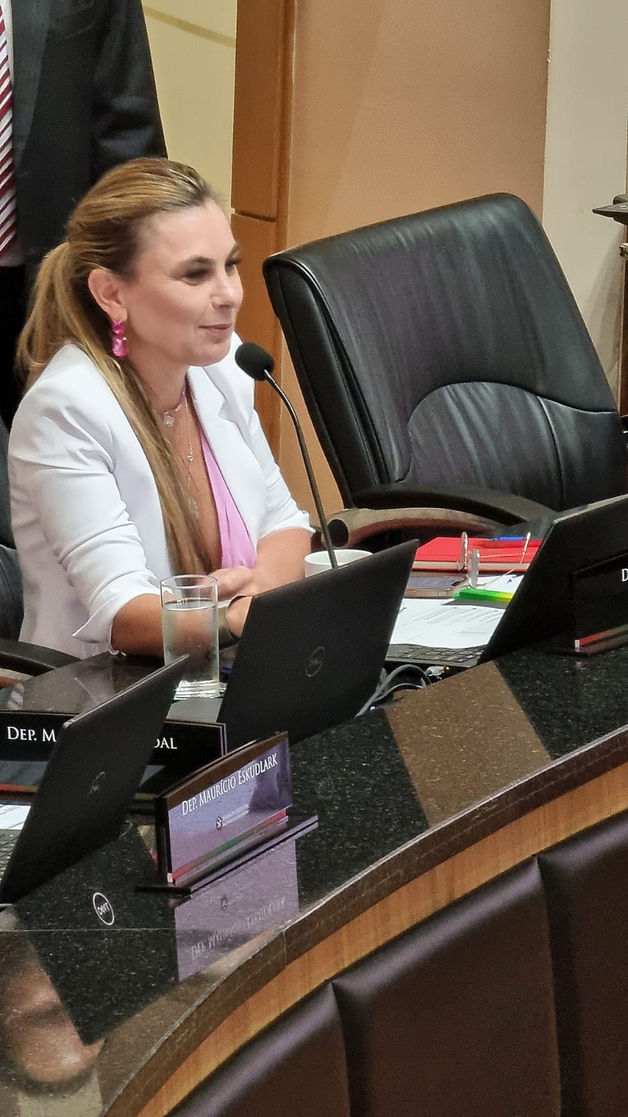 Única mulher presente na mesa diretora, Paulinha preside no Parlamento primeira sessão no mês comemorativo às lutas femininas