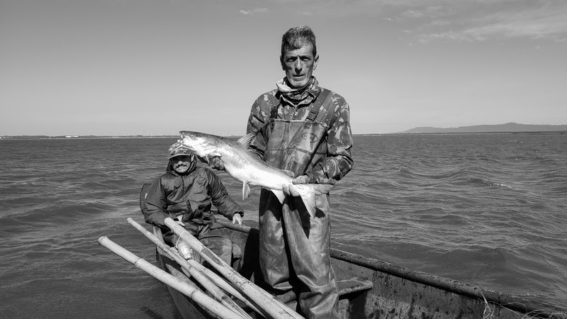 “12 Milhas – Uma Luta Contra a Pesca de Arrasto”: Documentário mostra a luta dos pescadores contra a pesca de arrasto no Rio Grande do Sul