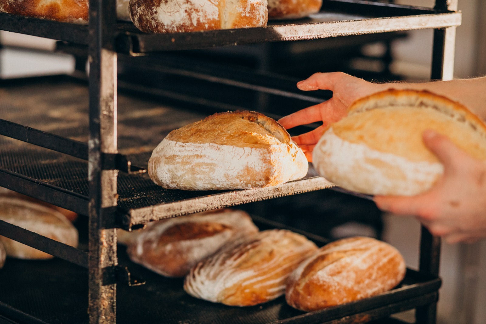 Balneário Piçarras abre inscrições para curso de panificação e confeitaria