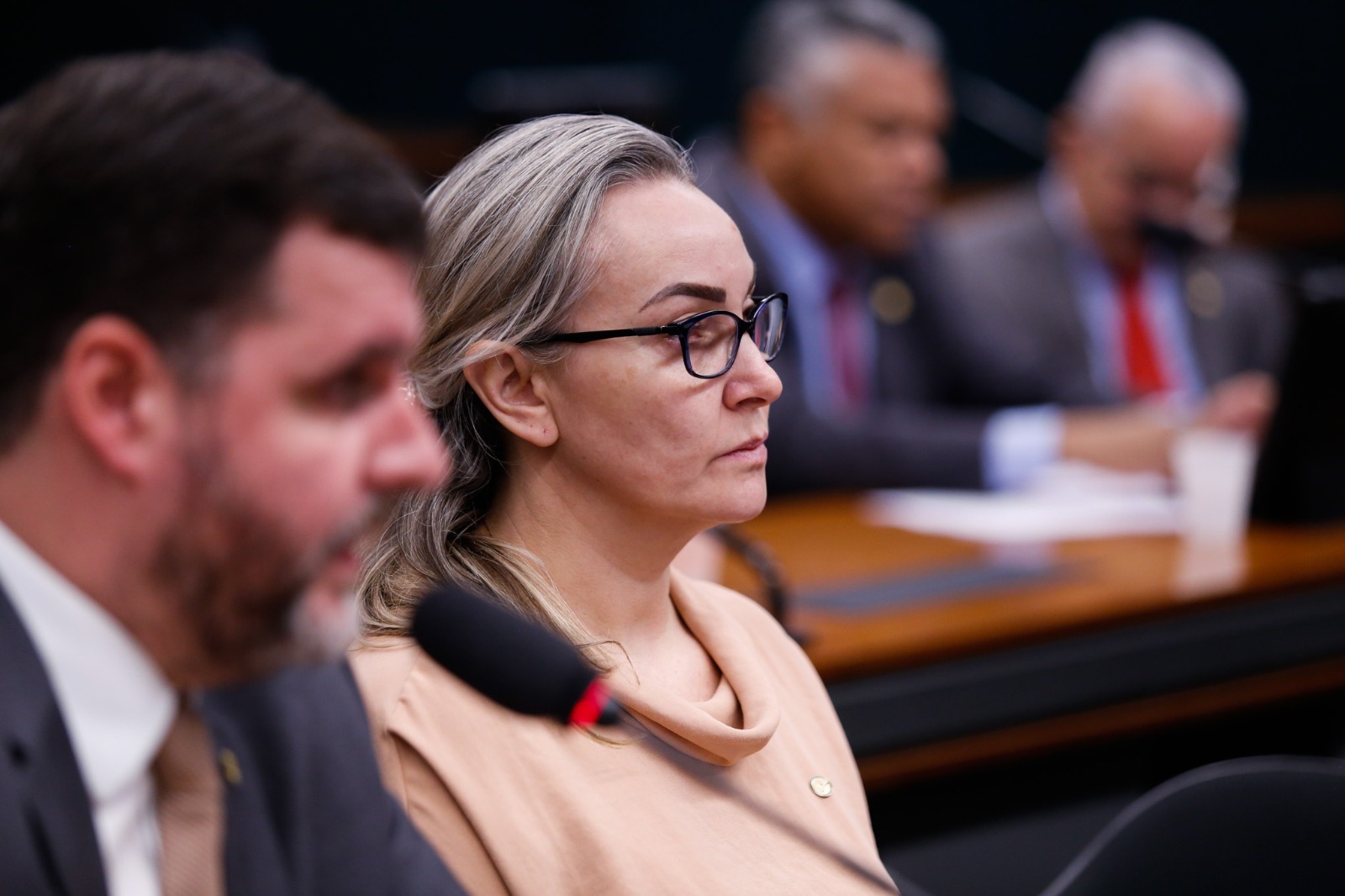 Aprovado requerimento de Daniela para audiência pública com o ministro da Fazenda Aprovado requerimento de Daniela para audiência pública com o ministro da Fazenda