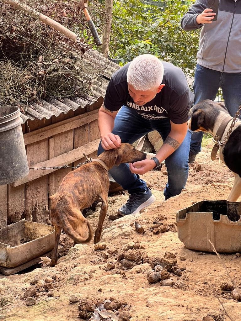 Maus-tratos de Animais: Deputado Egidio Ferrari apoia resgate de animais em situação de maus-tratos em Apiúna