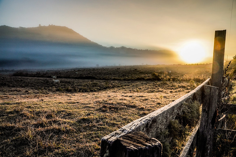 Inverno em Santa Catarina terá pouco frio e influência do El Niño 