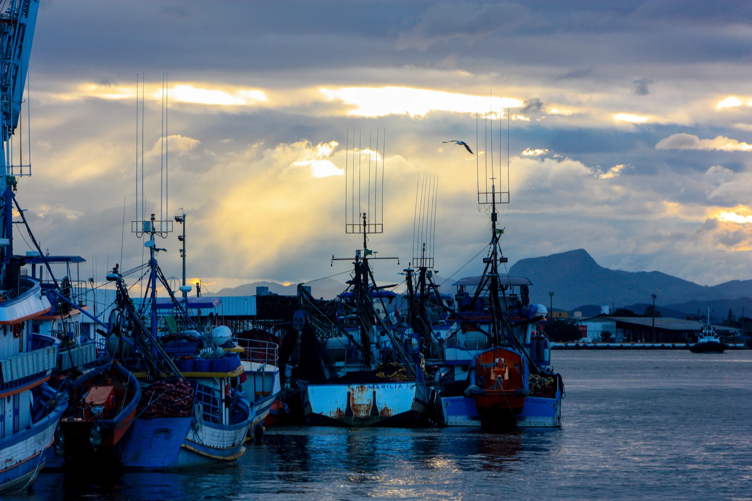 Itajaí é confirmada oficialmente como Capital Nacional da Pesca