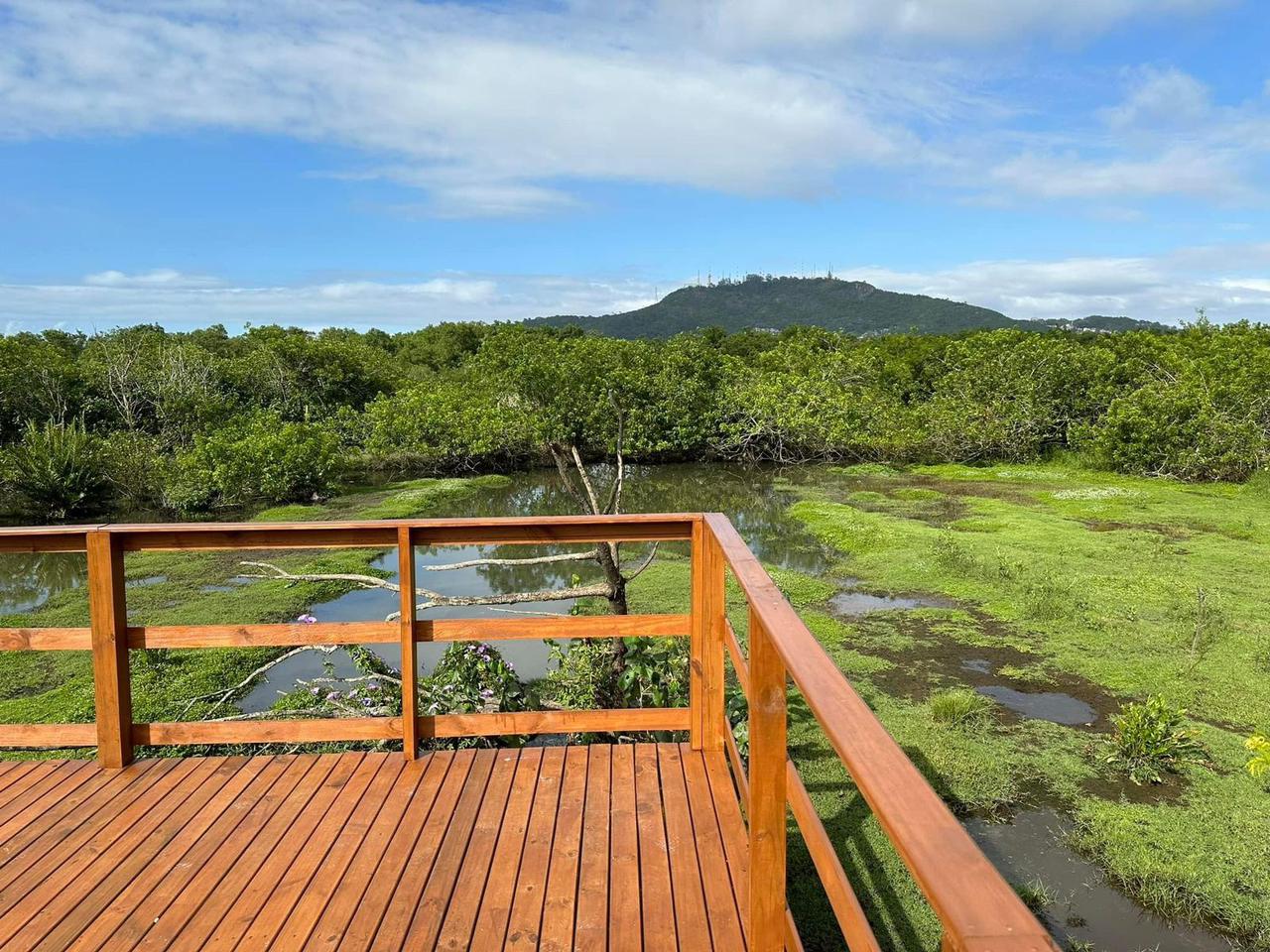 Jardim Botânico ganha decks para contemplação da fauna e flora do manguezal