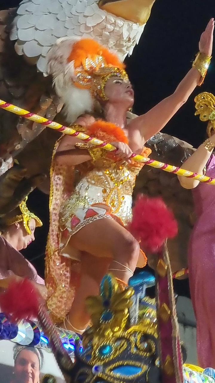 Com enredo de homenagem às mulheres, deputada Paulinha desfila no Carnaval de Joaçaba