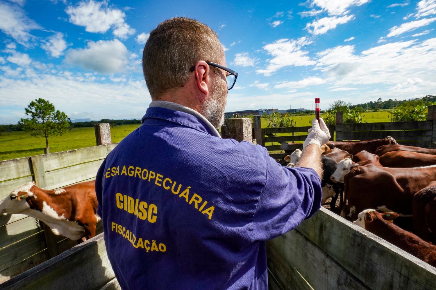 Governo do Estado publica edital para concurso público para médico veterinário da Cidasc