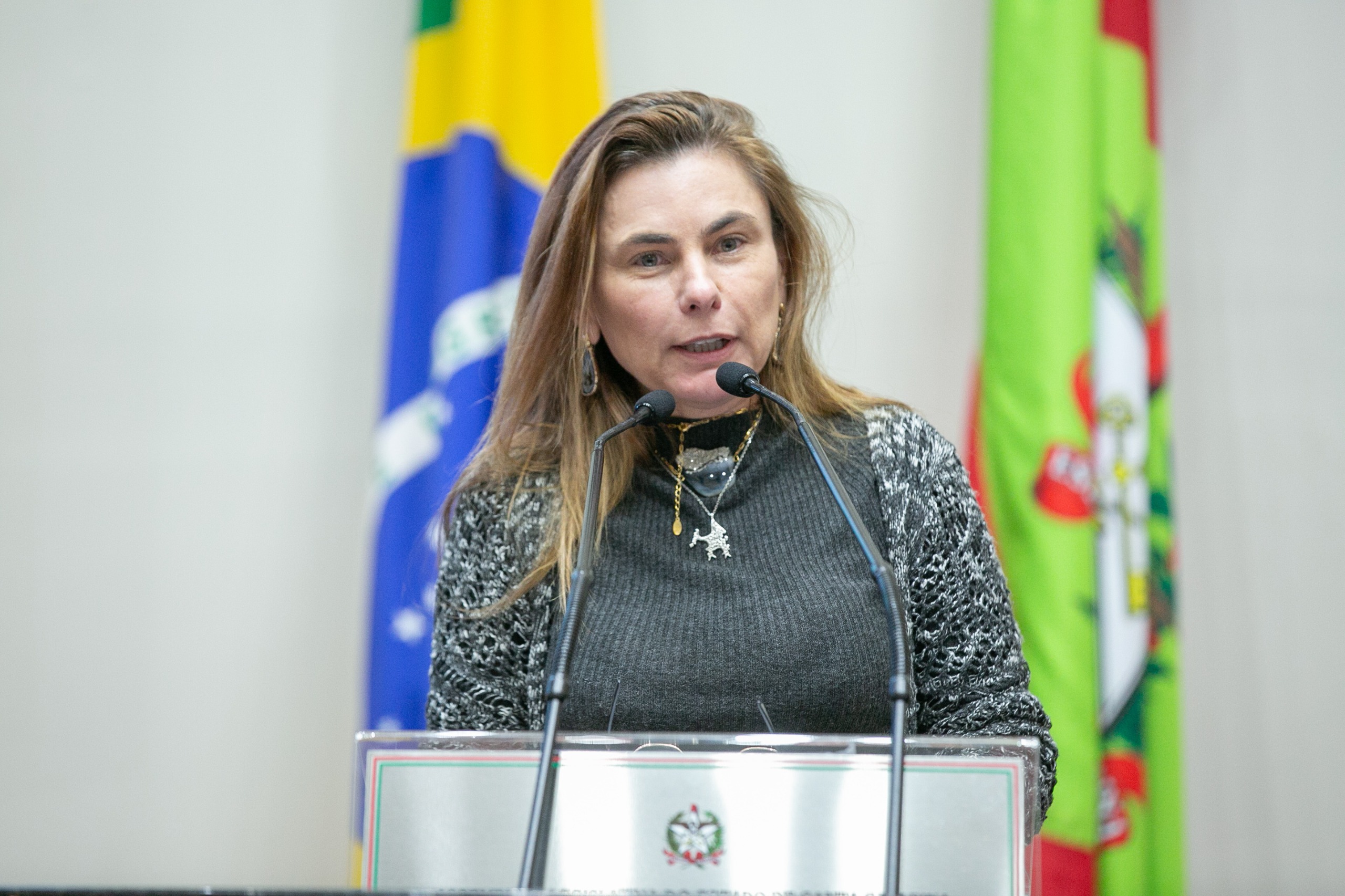 Lei Melissa, que combate a violência obstétrica em Santa Catarina, é aprovada por unanimidade na Assembleia Legislativa