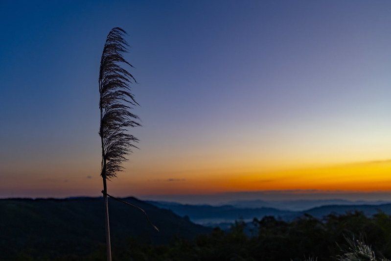 Inverno em Santa Catarina deve ter chuvas e temperaturas próximas da média 