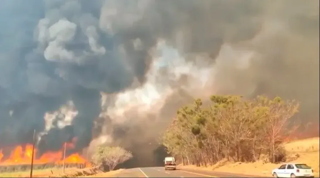 Incêndios florestais: 30 cidades do estado de São Paulo em alerta máximo