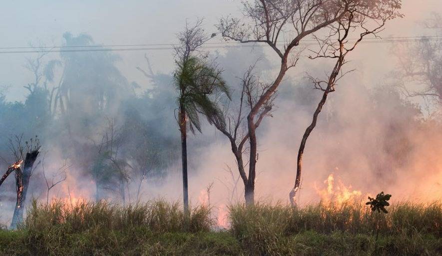 O Brasil está coberto por fumaça. Cenário deve permanecer “cinza e afetar países vizinhos”