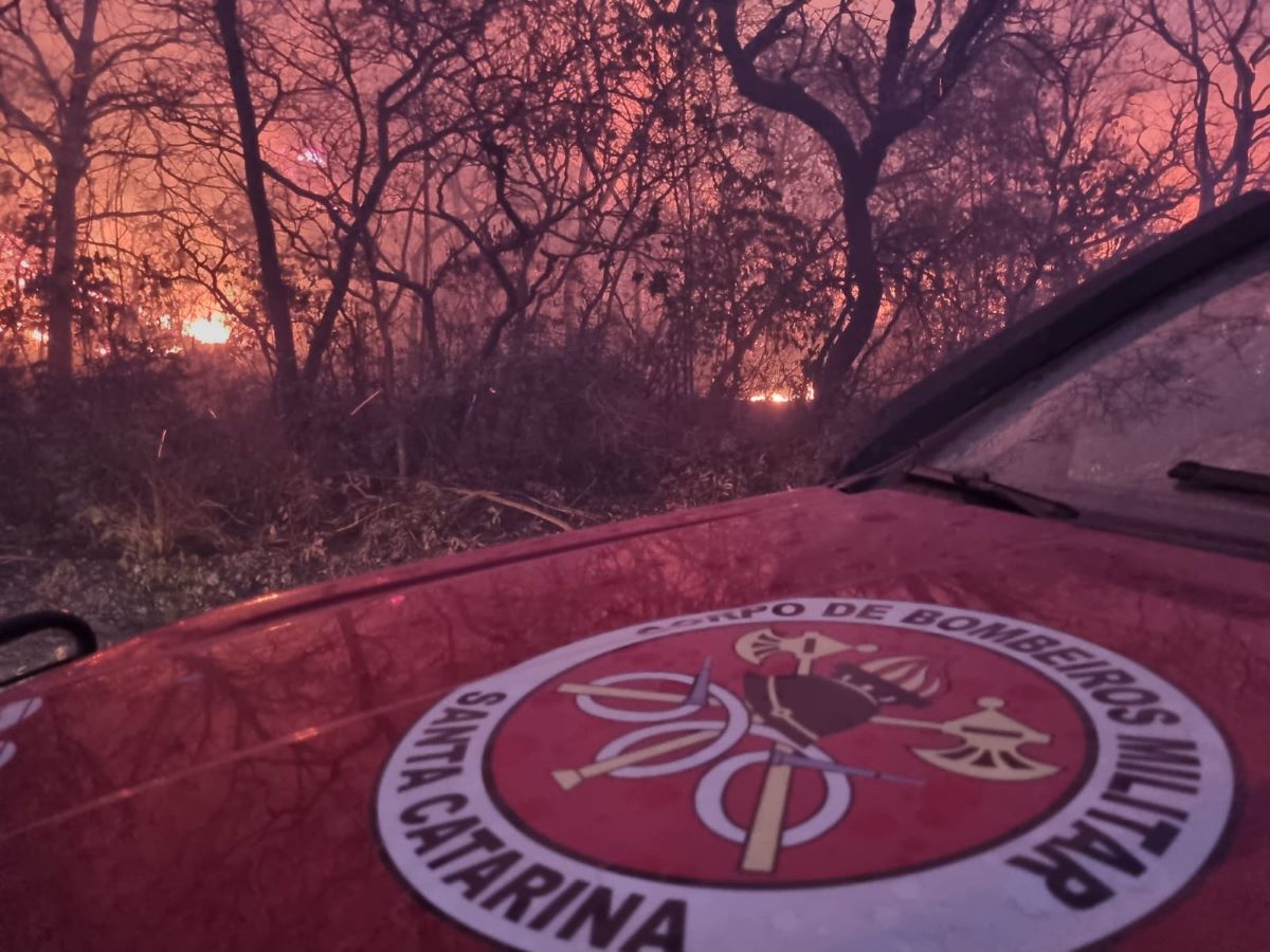 Bombeiros militares de Santa Catarina atuam no combate às chamas no Mato Grosso