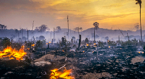 Fumaça da ‘queimadas’ é diferente da fumaça de ‘poluição’, entenda