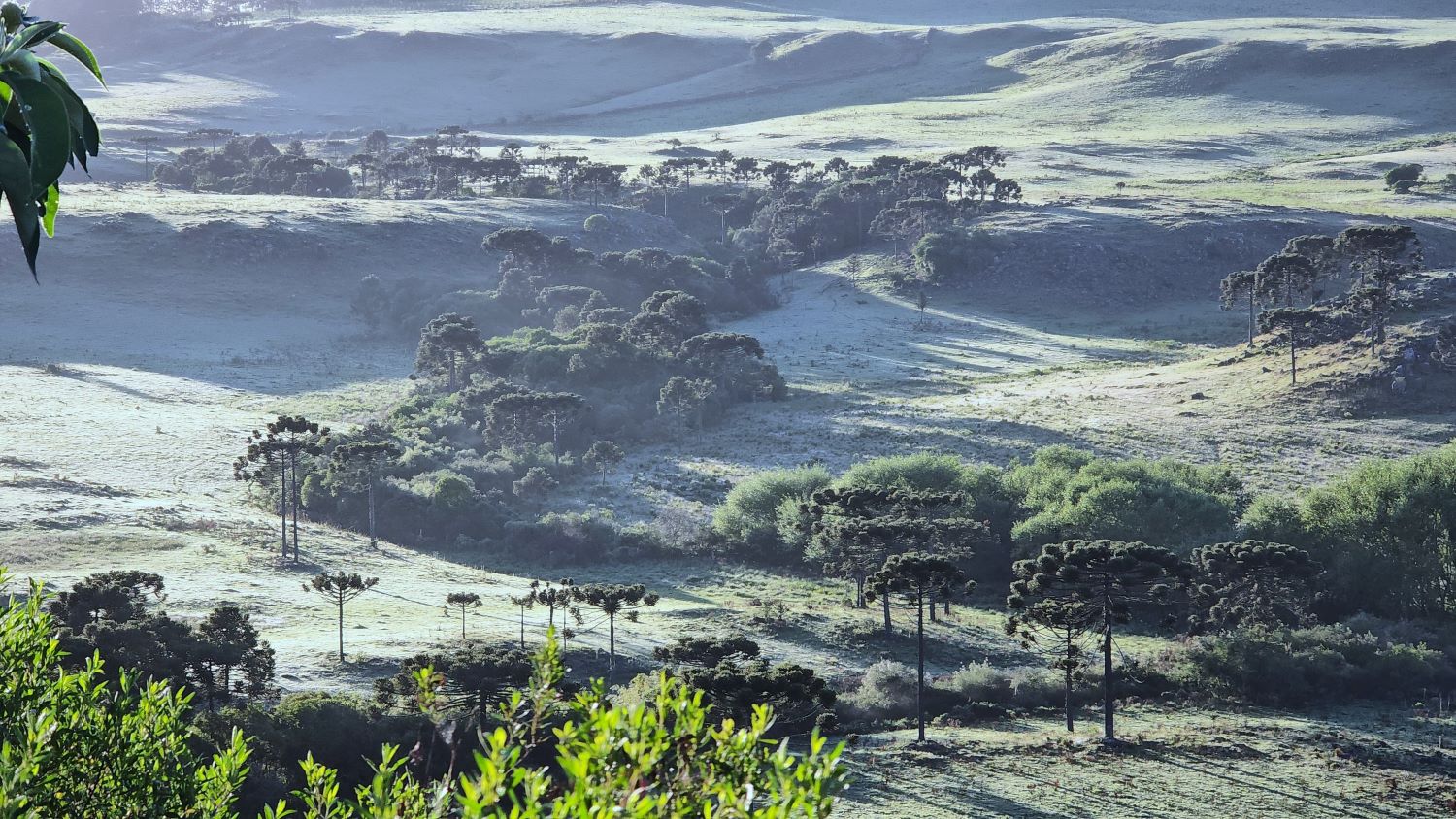 “Geada e Temperaturas Baixas” marcam o início do fim de semana em Santa Catarina