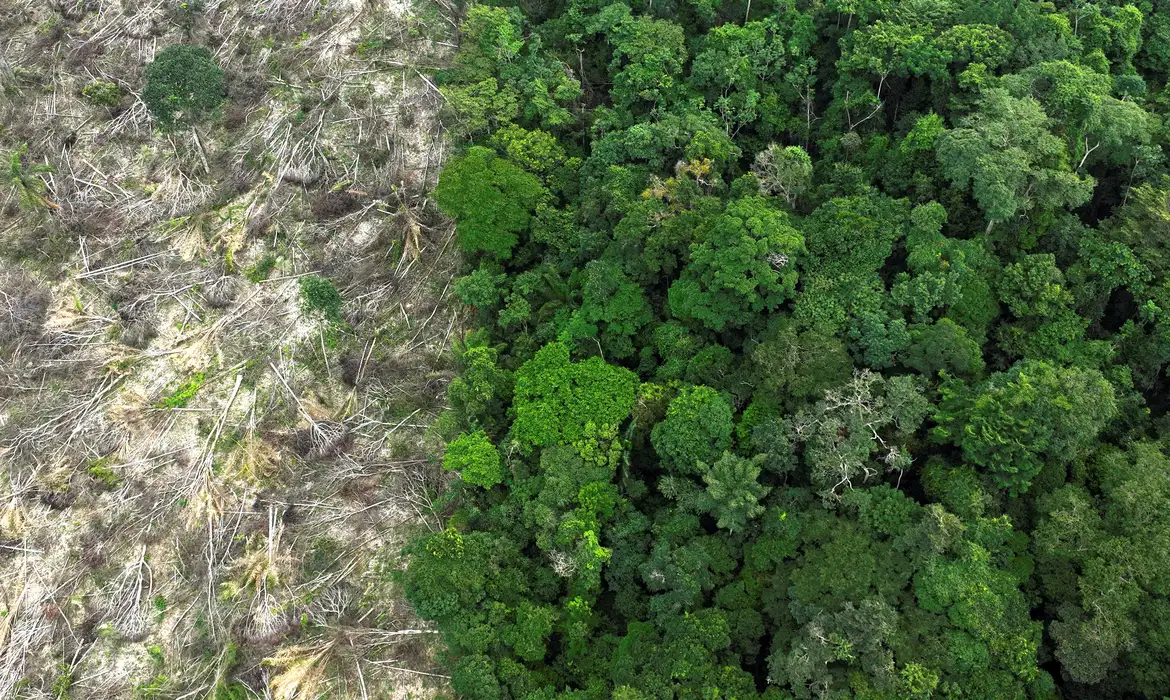 Dino dá prazo de 60 dias para “Amazônia e Pantanal” aderirem ao Sinaflor