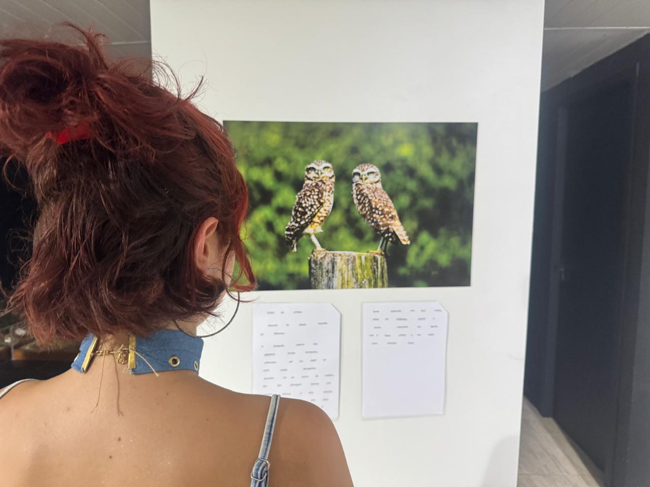 “Exposição fotográfica Cores do Litoral” é atração no CIC Navegantes “Exposição fotográfica Cores do Litoral” é atração no CIC Navegantes