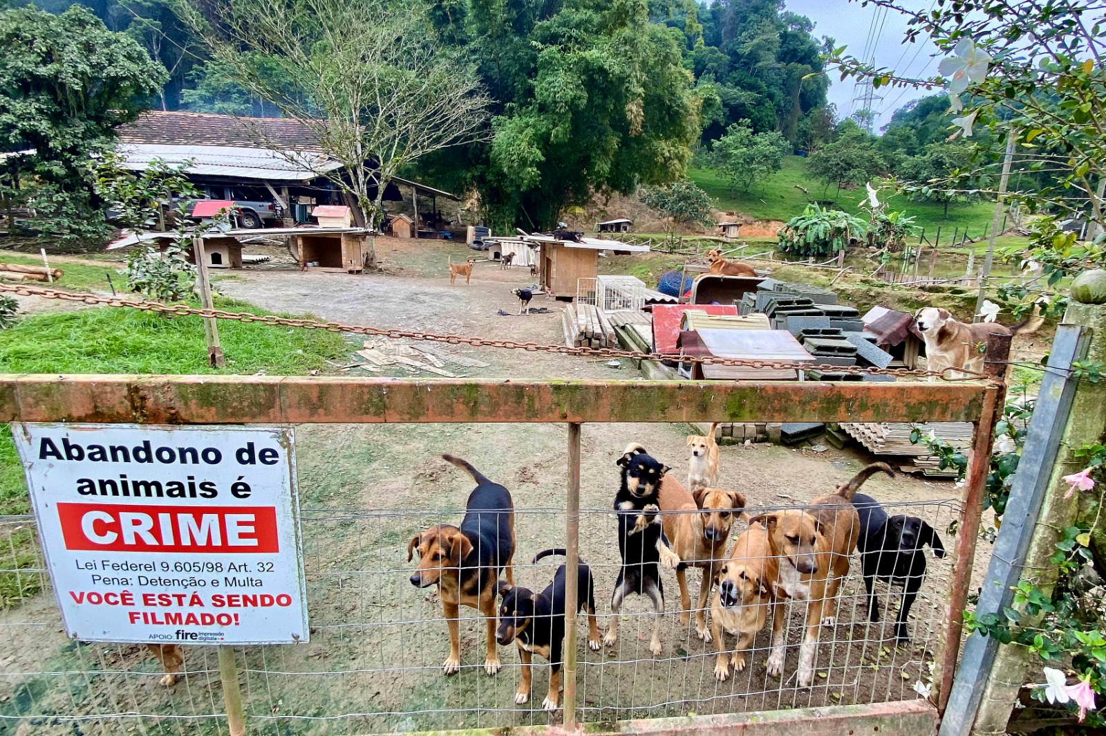 Projeto “AqueçaPPet”, da Polícia Penal de SC, aquece corações e animais em situação de vulnerabilidade Projeto “AqueçaPPet”, da Polícia Penal de SC, aquece corações e animais em situação de vulnerabilidade